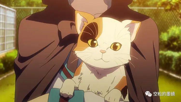 动漫里这些毛茸茸的猫你想做谁的铲屎官