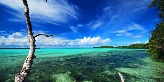 春节想出国游,时间5.6天,三个大人,一个8个月大