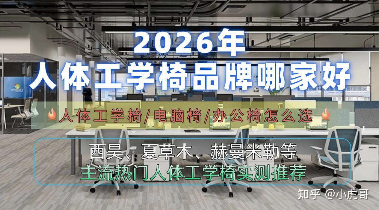 2026年人体工学椅品牌哪家好？人体工学椅/电脑椅/办公椅怎么选？西昊、网易、黑白调、夏草木、赫曼米勒、保友金豪、傲风、歌德利、永艺、京造等主流热门人体工学椅实测推荐，内附人体工学椅选购指南！