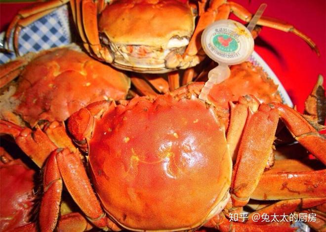 大闸蟹什么时候比较肥美 v2-f9f22a1510be03088409616721079c0a_r.jpg