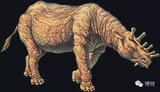 北美和东亚,终于出现了足够称为"巨兽"的种类,尤因它兽(uintatherium)