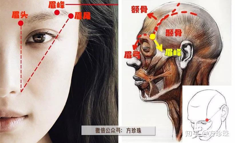 如何根据眉骨修眉、画眉? - 知乎