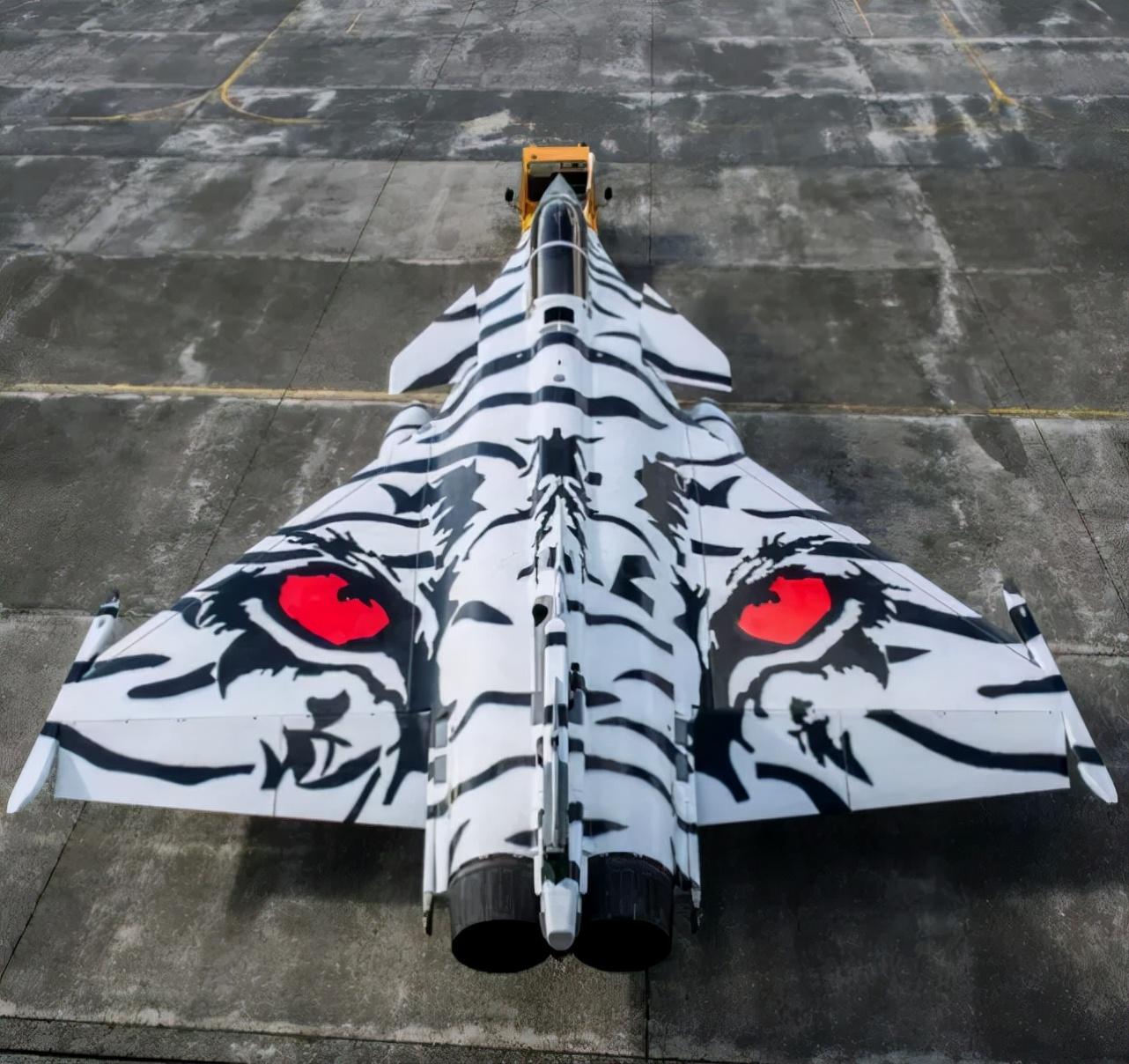 【图5】航空客机:鲨鱼飞机涂装是在飞机表面涂上一层特殊材料,以达到