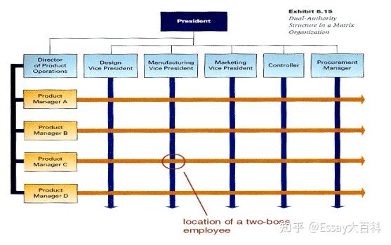 组织结构与不同类型的结构（中英文双语） - 知乎