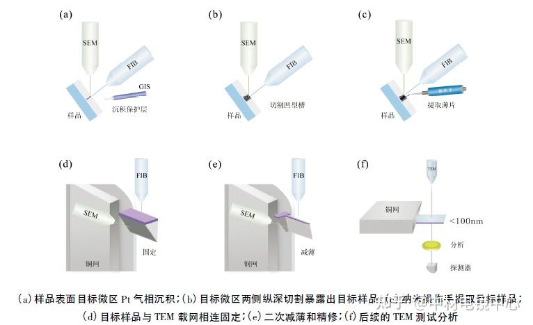 详细解读——FIB-SEM技术(聚焦离子束)丨制备透射电镜(TEM)样品 - 知乎