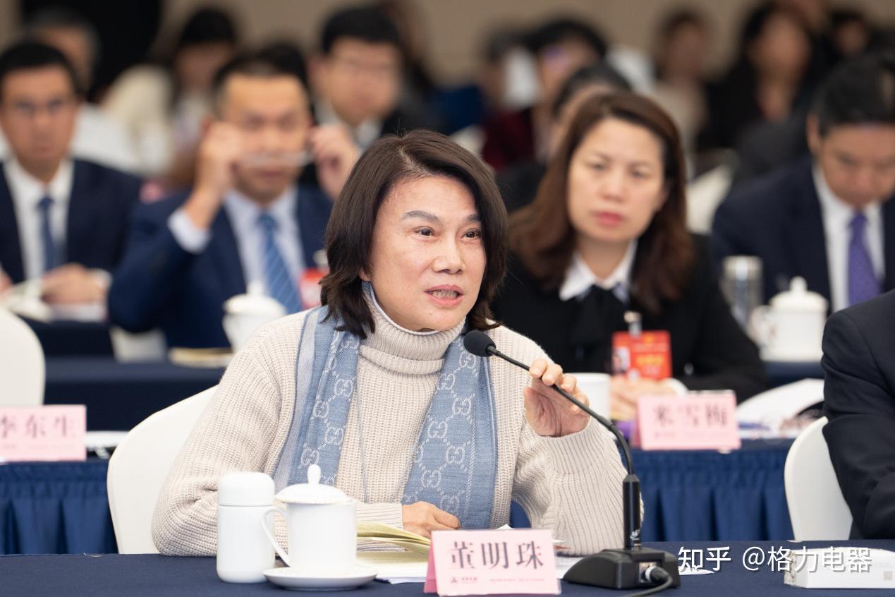 履职二十二年董明珠在2024全国两会上这样说