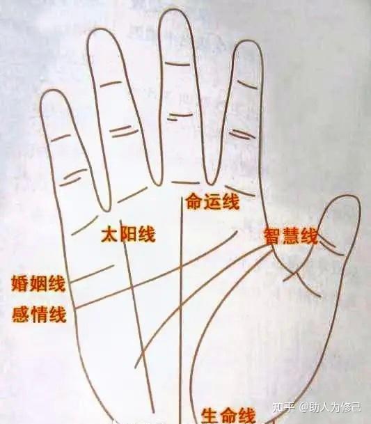 十种富贵手纹 - 知乎