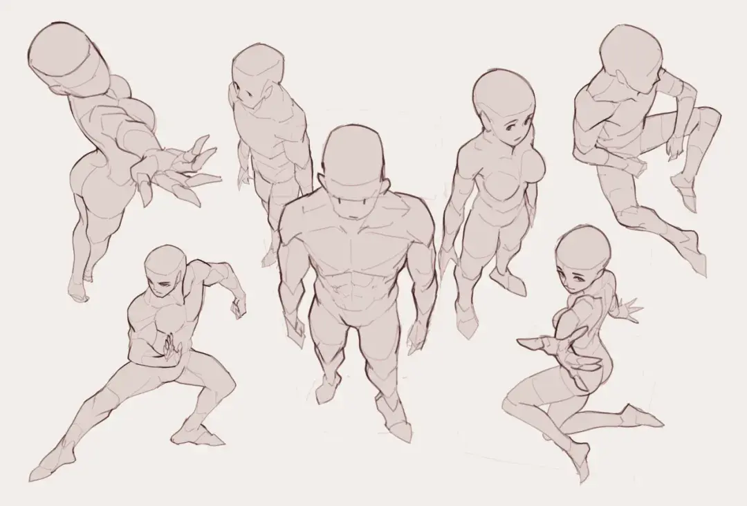 练习必备100p人体结构解析素材人体废快码起来