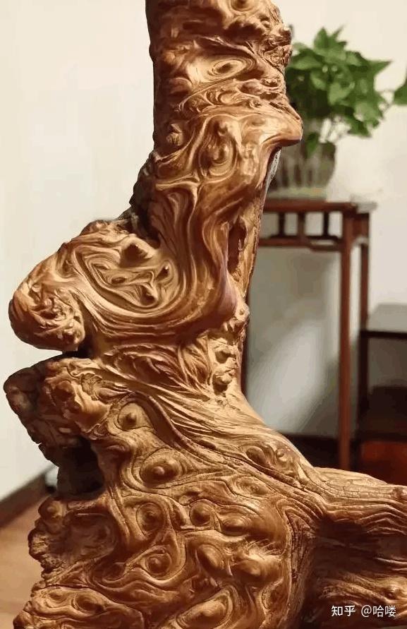 天然的崖柏根抱石到底有多美