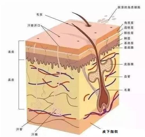 固体清洗剂哪个品牌好_唯品会化妆品有假货吗_固体健康化妆品