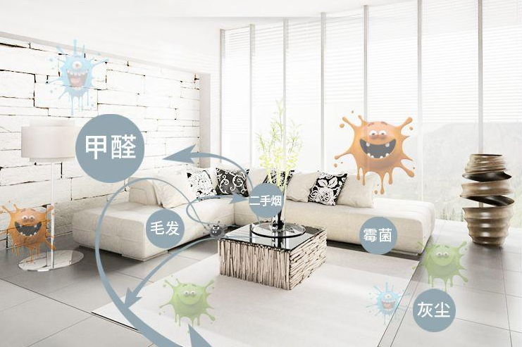 为什么网上又会有这么多人说除甲醛公司是忽悠呢 - 知乎