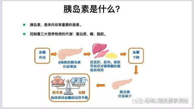 烏克蘭輔助生殖胰島素抵抗與糖尿病