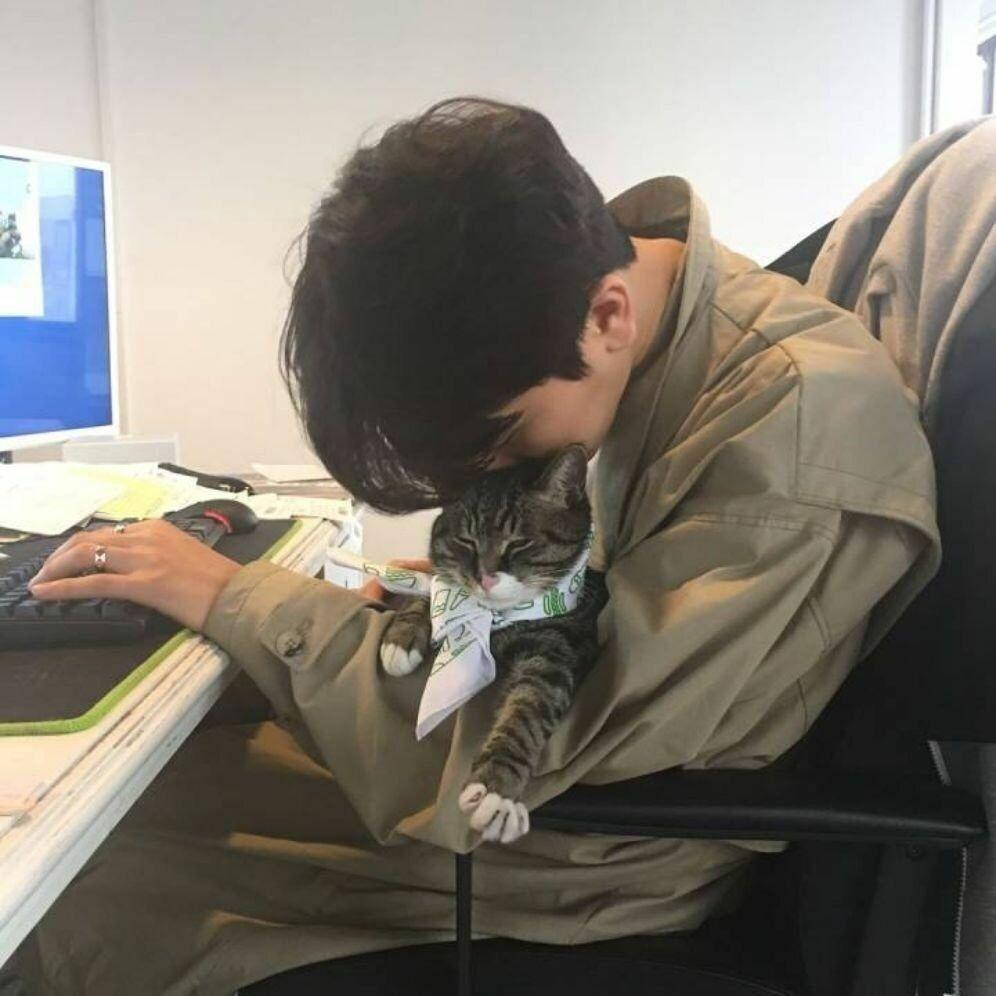 有什么适合男生的微信头像? - 知乎