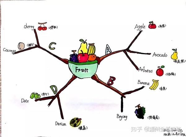 蔬菜的思维导图 一族图片