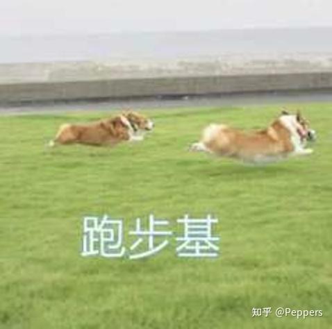 在家怎样锻炼能跑得更快 v2-faac114060cf8f509edfa960cdafd59e_r.jpg