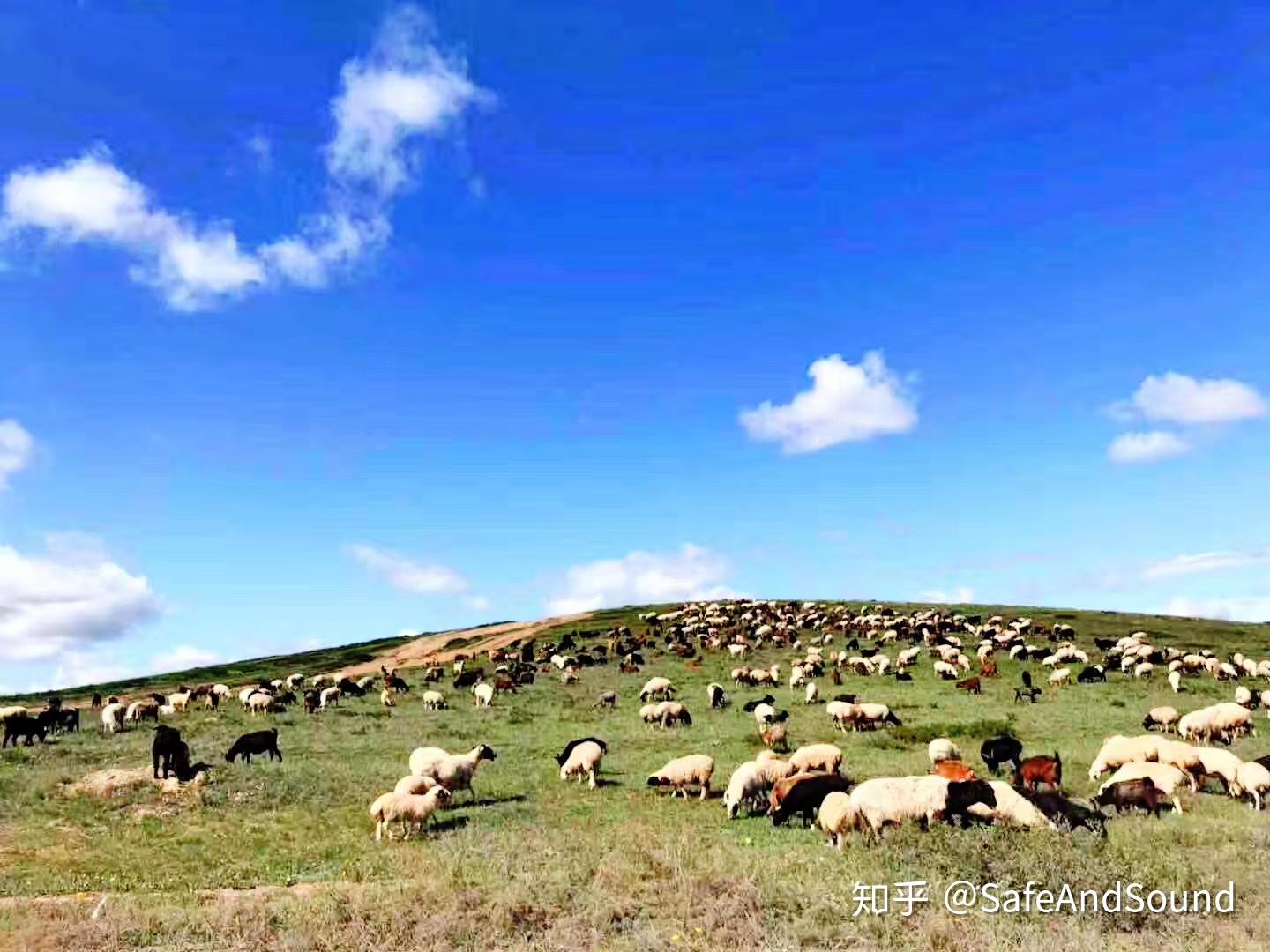去蒙古国旅游是怎么样的体验？ - 知乎