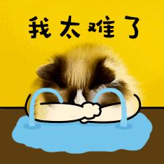 美食只会妨碍你瘦?不!