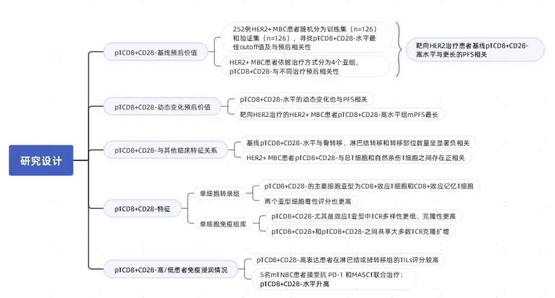 项目文章| 持续存在的外周CD8+ CD28- T细胞预示HER2阳性转移性乳腺癌的有利预后和肿瘤免疫 - 知乎