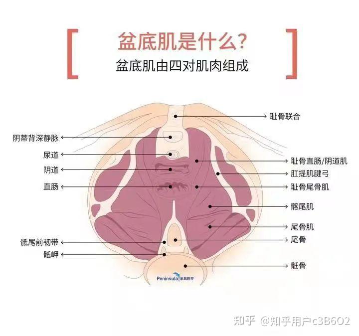 在我们排尿