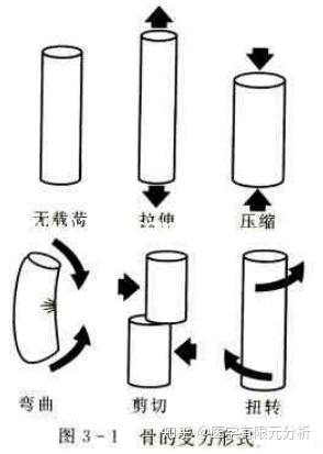 医学骨科有限元 第二篇 骨的生物力学特征 知乎