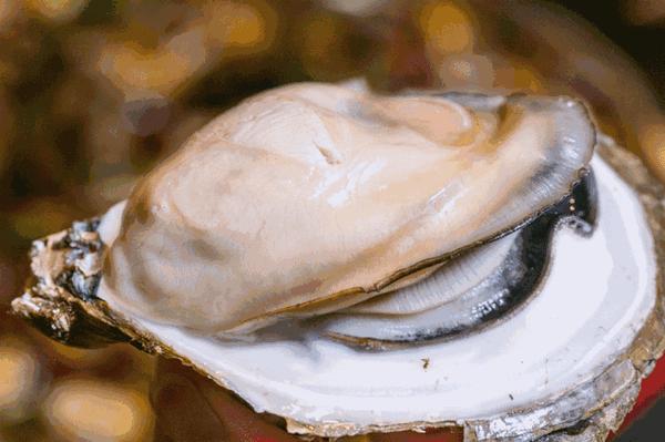 然鹅,到了澳洲,生吃生蚝才是最