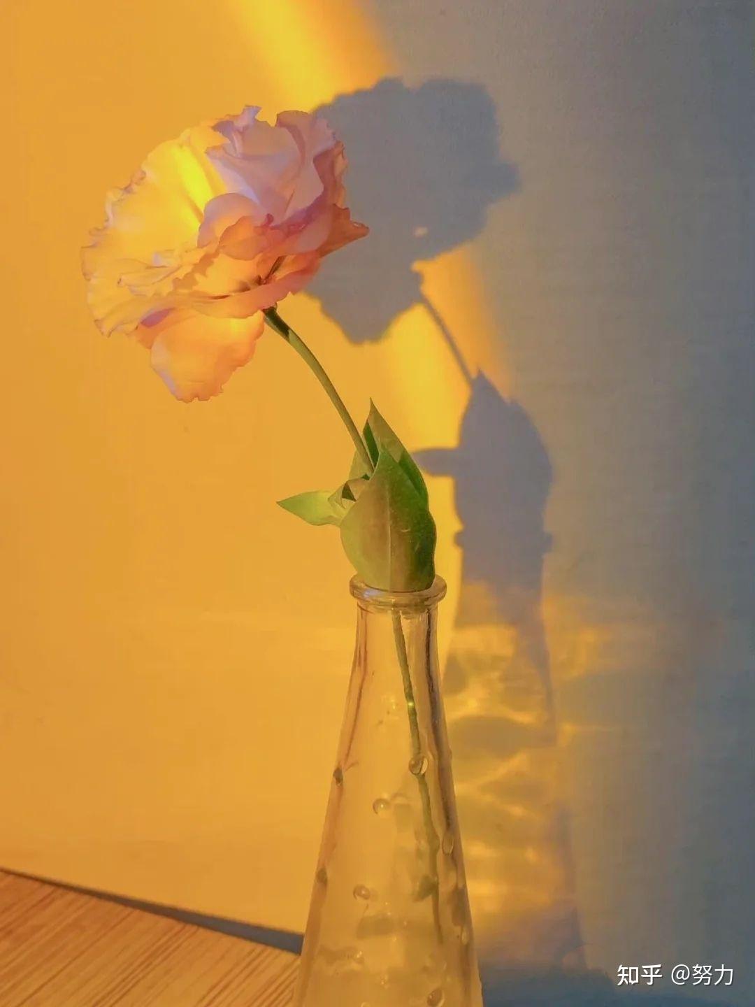 二,qq背景图(图片来源于小红书,如有侵权请联系删除.