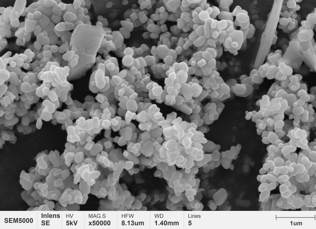 国仪量子应用中心仪器上新场发射扫描电镜sem5000