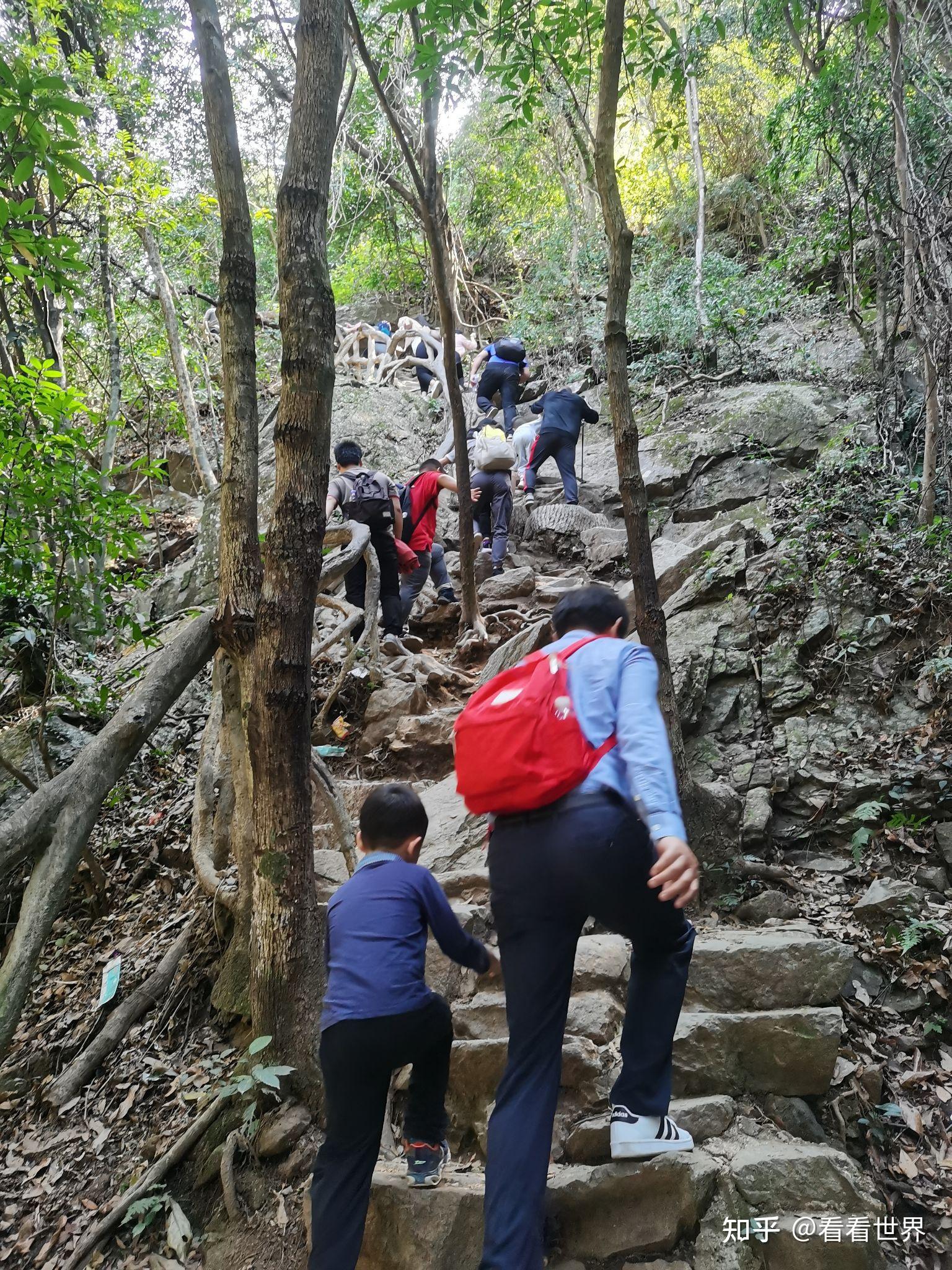 梧桐山问鼎之路线路攻略