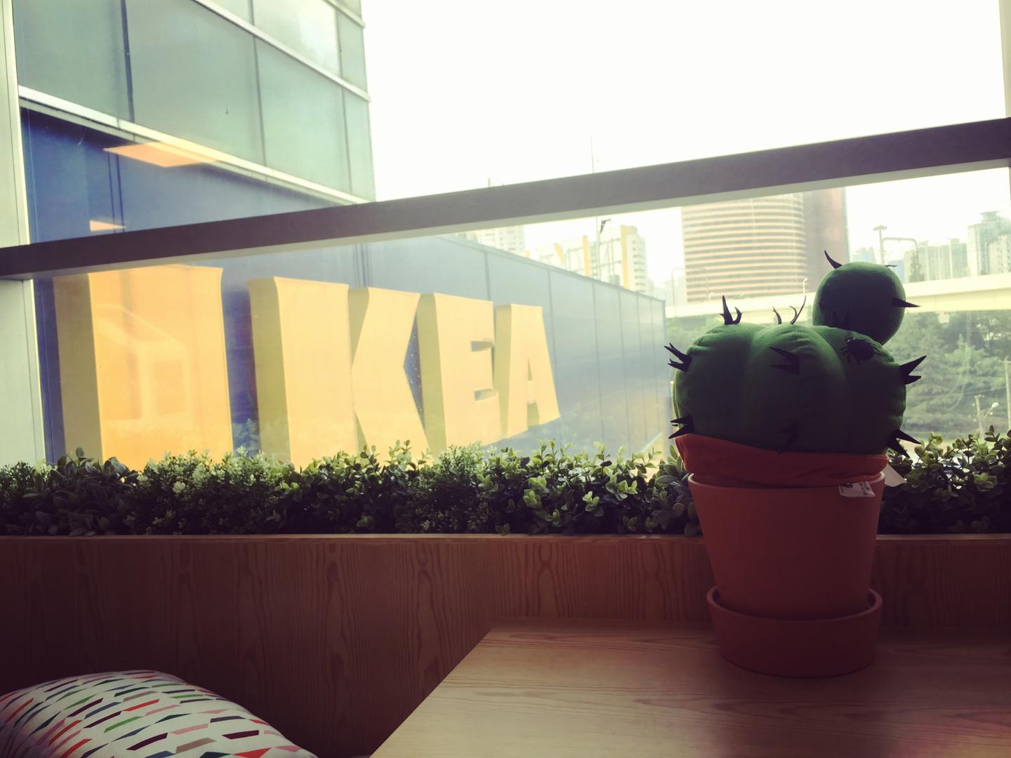 整理师的宜家亚太总部之行 原来你是这样的ikea 知乎