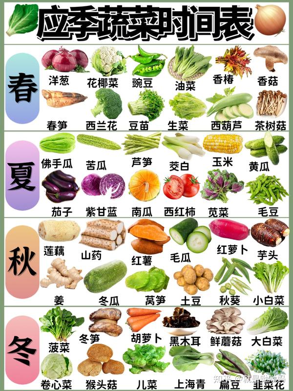应季蔬菜时令表🥦🍅🧅每天都可以吃到新鲜🥬 - 知乎