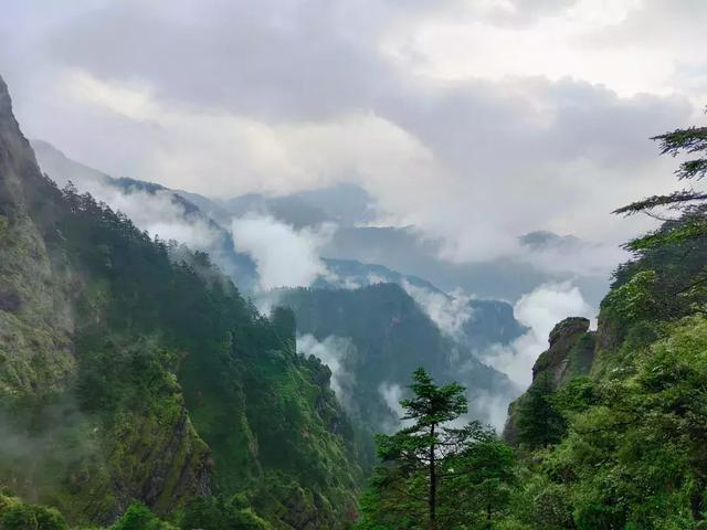 中國天然氧吧湖北原始森林神農架自駕遊之旅附美景照片視頻及攻略