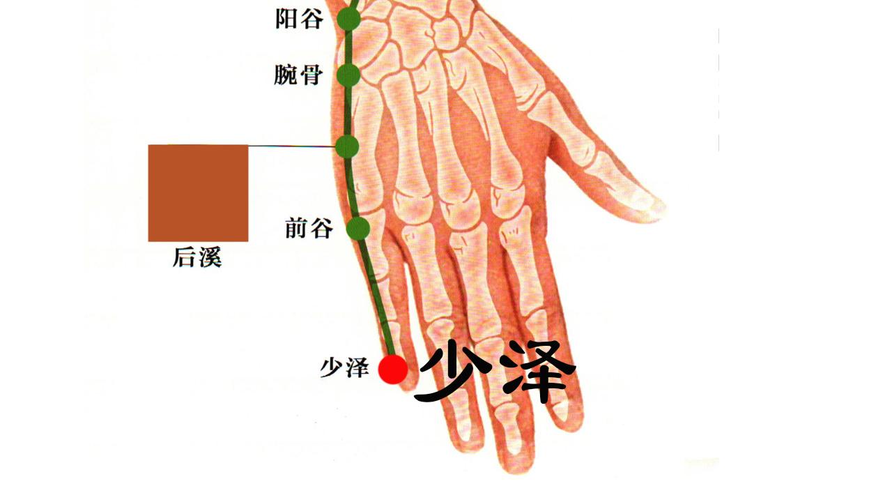 少泽:在小指末节尺侧,距指甲角0.1寸(指寸).