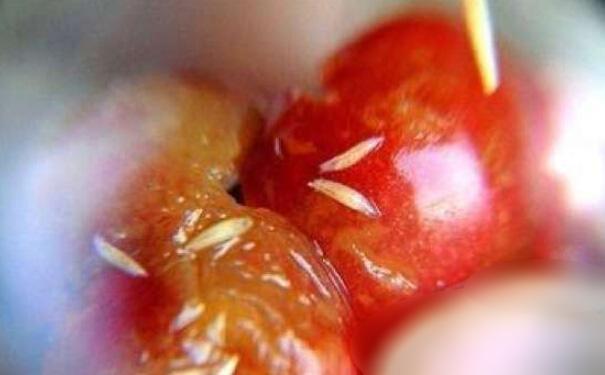 水果虫 zhuanlan.zhihu.com