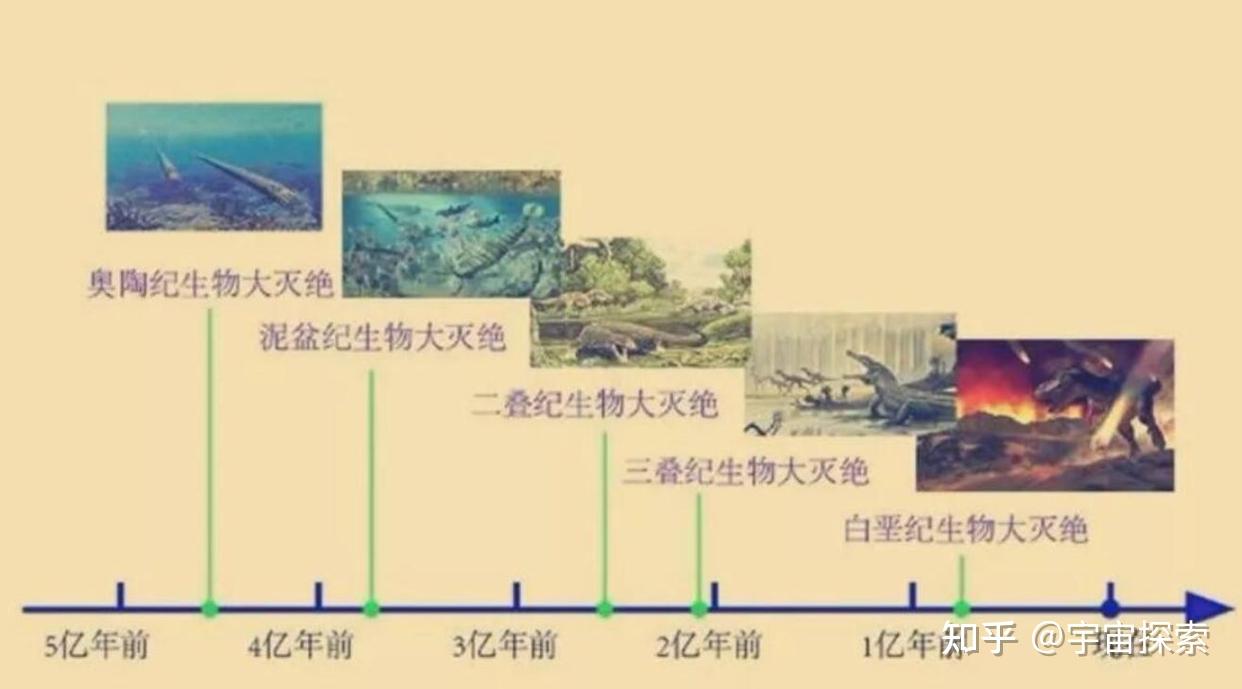 6500万年前恐龙灭绝了人类历史不过百万年空白期发生了什么