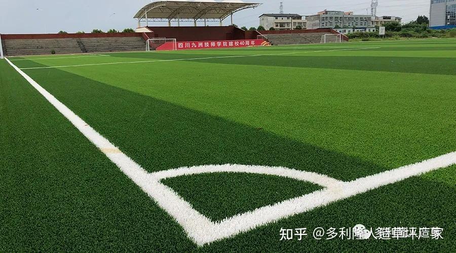 多利隆人造草坪免填充运动草坪