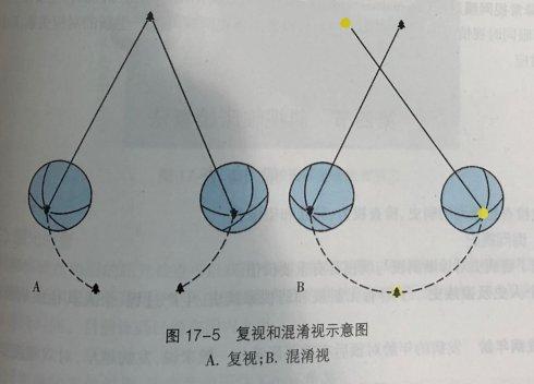 为什么多看手机容易导致复视