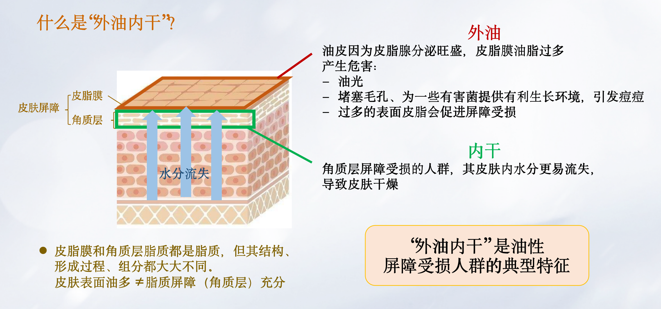 油敏肌面霜怎么选？控油 修护成分大揭秘 - 知乎