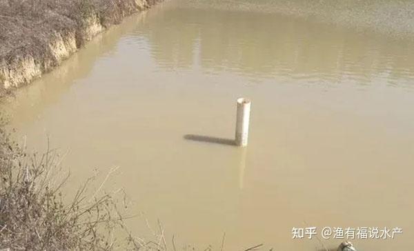 池塘水质浑浊的原因及解决措施 - 知乎