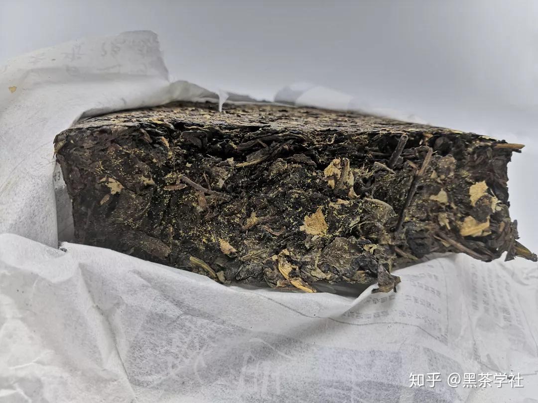 安化黑茶长虫还能喝吗