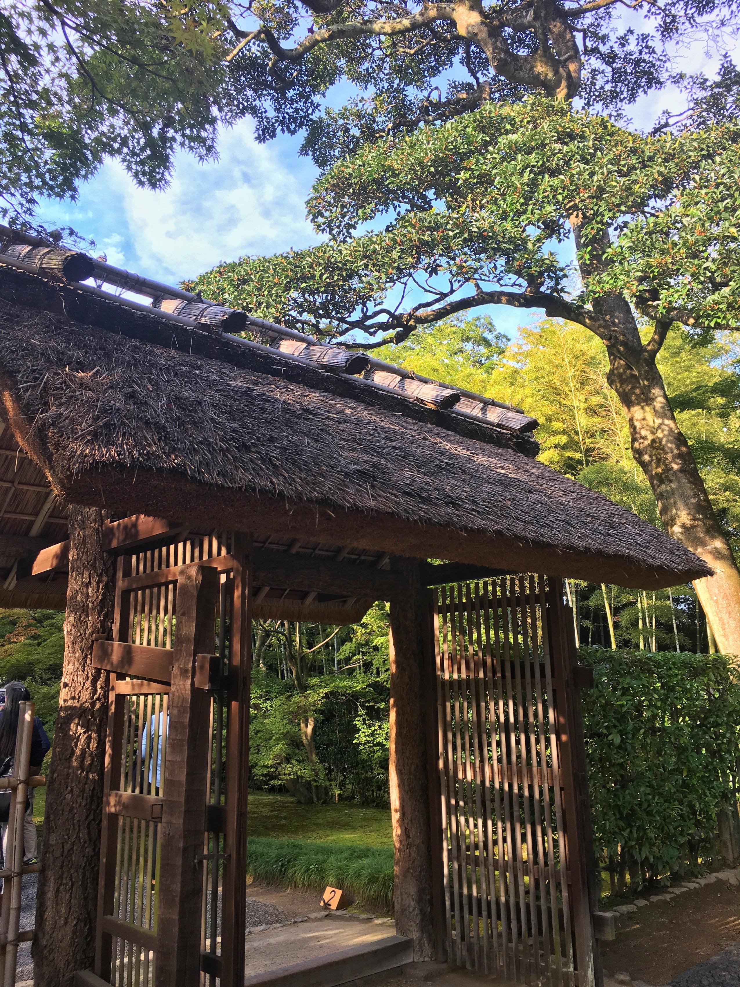 京都赏园记池泉园游园惊梦一