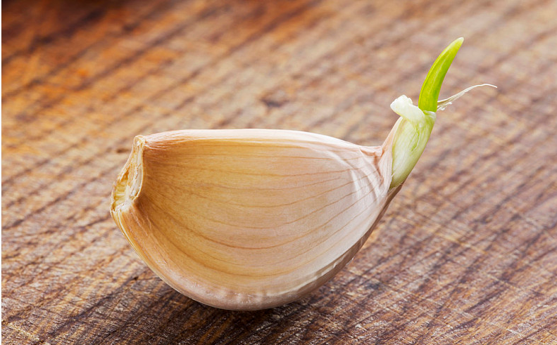 v2-fbe206569359ebf4f710d9c4bba6bb1c_1440w.jpg?source=172ae18b