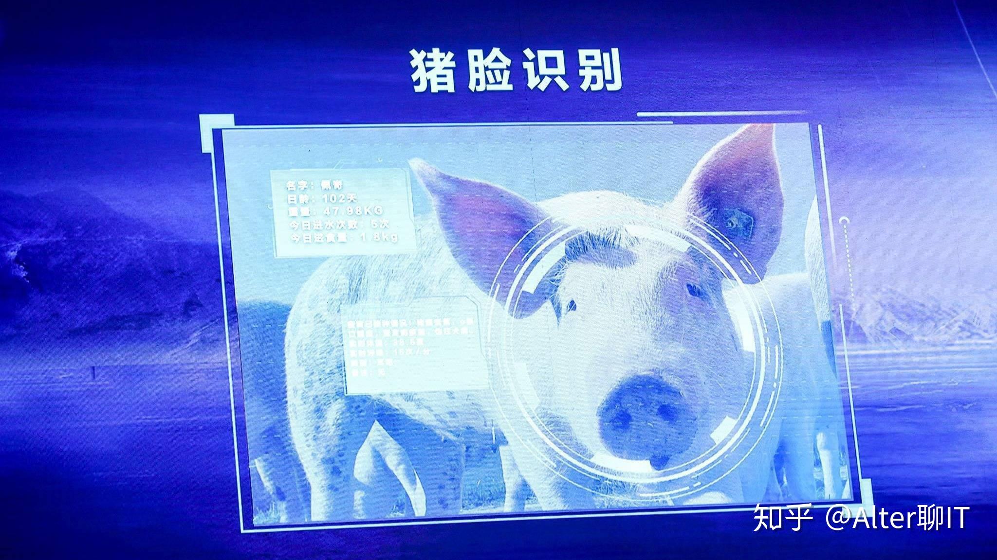 互联网养猪10年，网易们改变了什么？ - 知乎