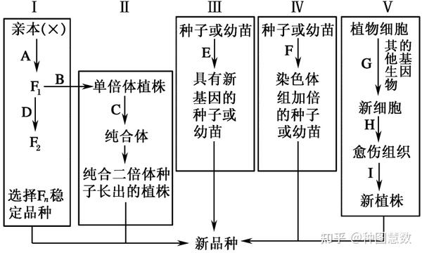浅析植物表型在农作物育种研究中的重要性 - 知乎