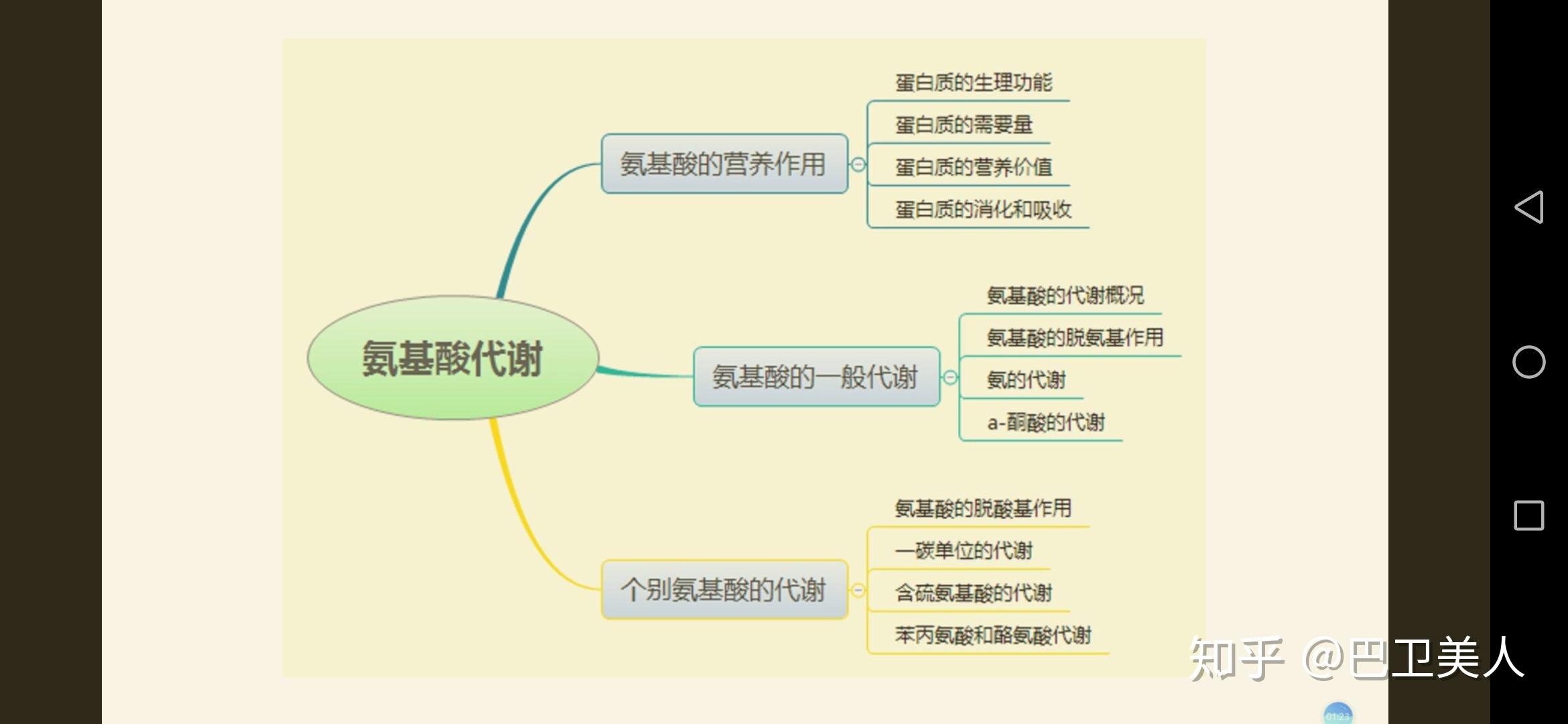 生物化學思維導圖及知識點期末總結