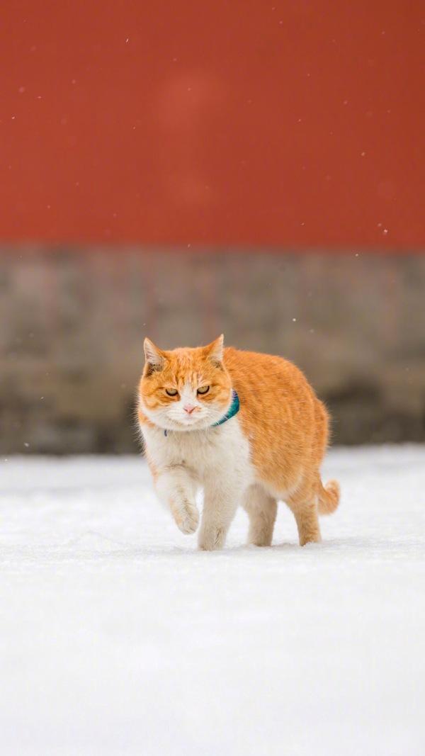 v2-fc084b15578f93aa7fe59ac0678fd7ec_1440w.jpg?source=172ae18b