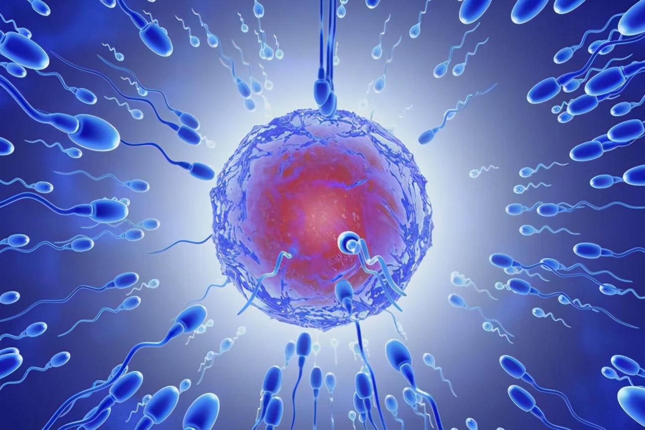 从精子的运动说起