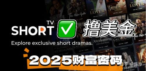 2025年海外短剧：下一个财富风口，你准备好了吗？ - 知乎
