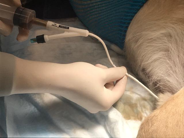 你需要的东西无菌手套抗菌擦洗液无菌润滑剂foley导管(小体型病患用