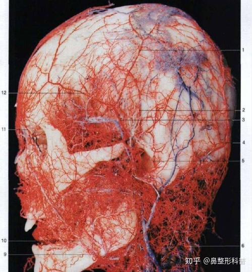 做鼻整形为什么我不建议注射玻尿酸