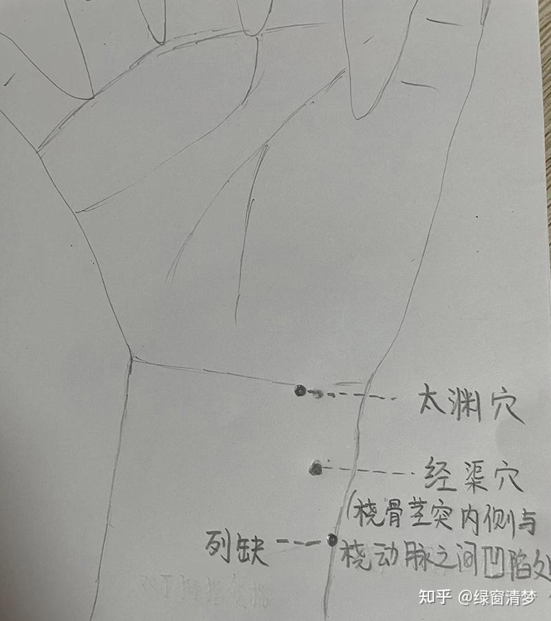 倪海厦针灸课笔记(10)— 手太阴肺经诸穴 - 知乎
